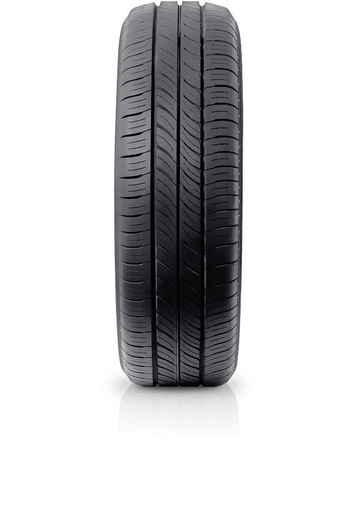 Enasave EC300