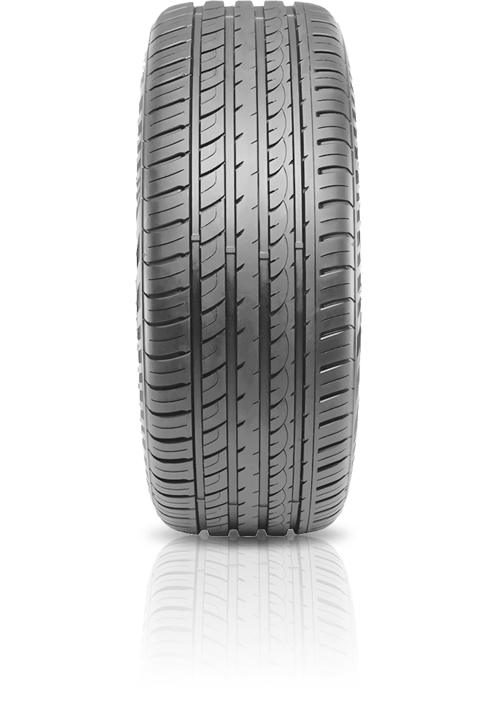Dimax R8+