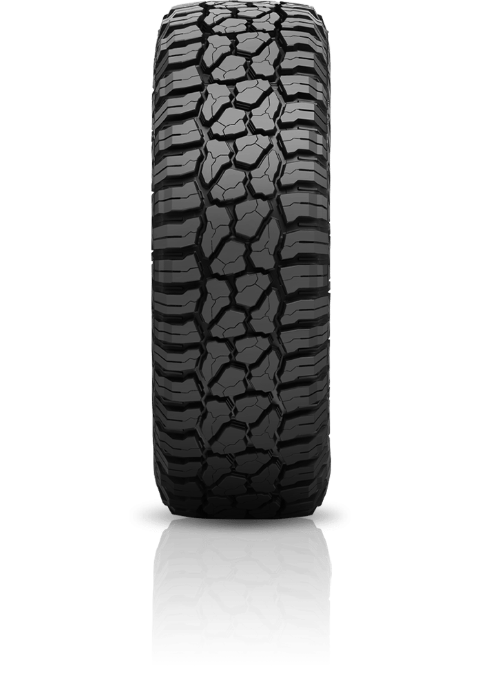 Wildpeak R/T01